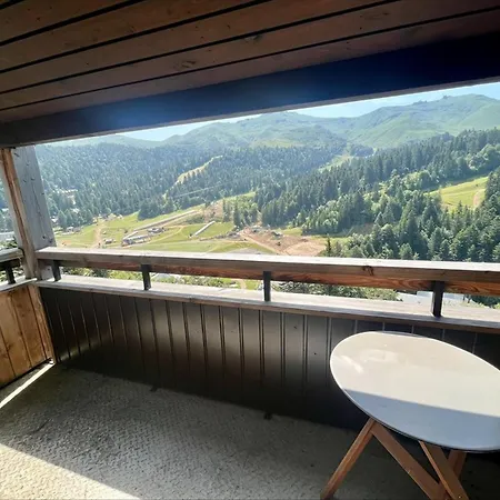 T2 Proche Pistes Avec Balcon Et Casier A Skis - Fr-1-787-13 Apartment Laveissiere